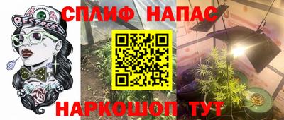 шишки Братск