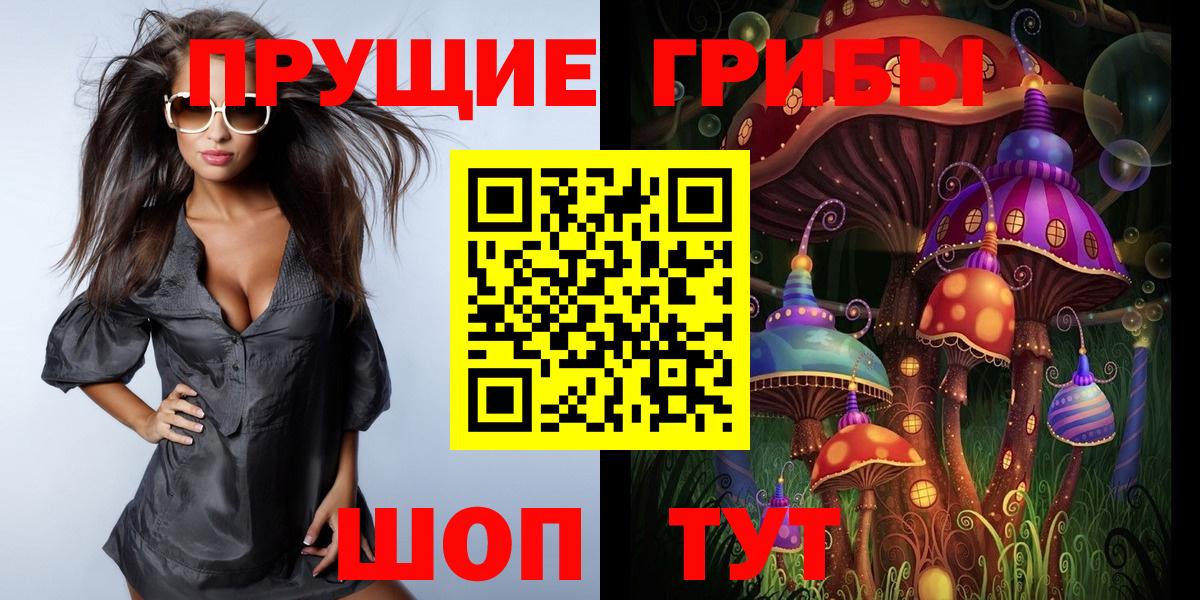 цена   Вход с VPN  Аргун  Галлюциногенные грибы GOLDEN TEACHER 