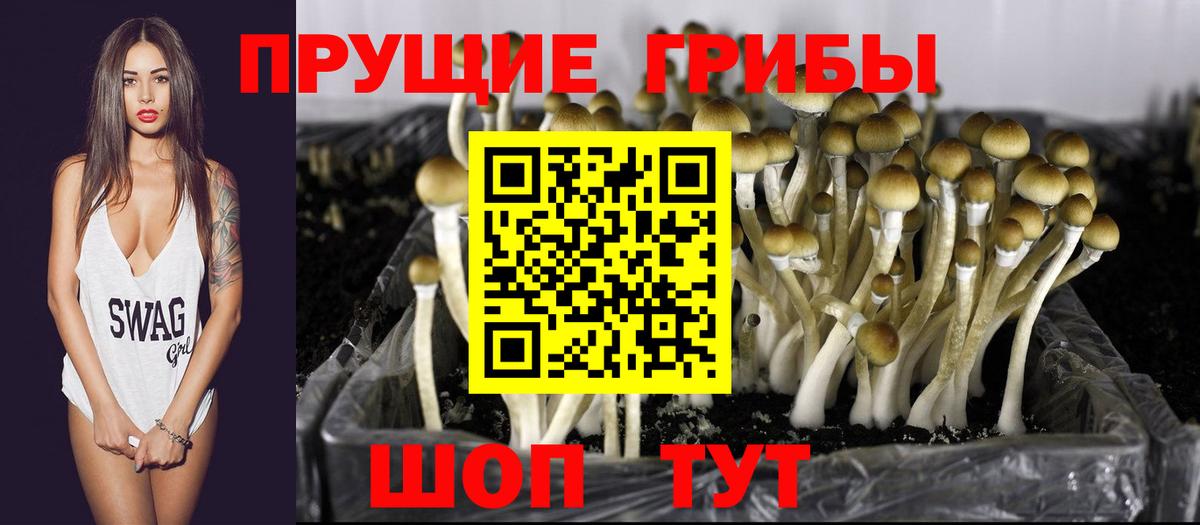Псилоцибиновые грибы MAGIC MUSHROOMS Аргун